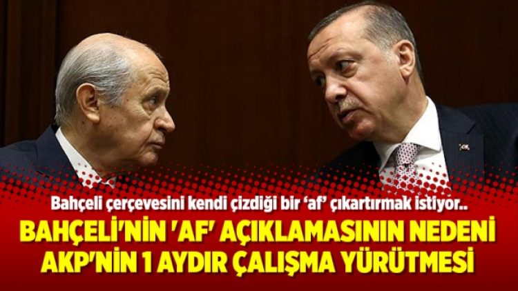 Bahçeli’nin ‘af’ açıklamasının nedeni AKP’nin 1 aydır çalışma yürütmesi