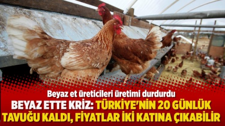 Beyaz ette kriz: Türkiye’nin 20 günlük tavuğu kaldı, fiyatlar iki katına çıkabilir