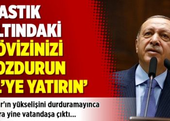 Erdoğan: ‘Dövizinizi bozdurun TL’ye yatırın’