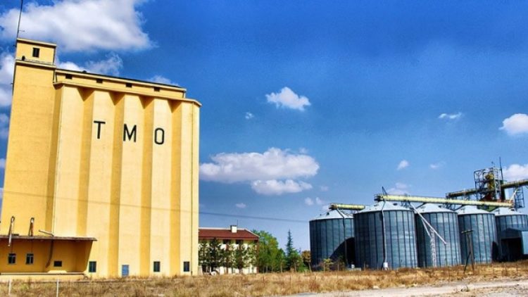 Toprak Mahsulleri Ofisi, mısır alımı için yurtdışından ihale açtı