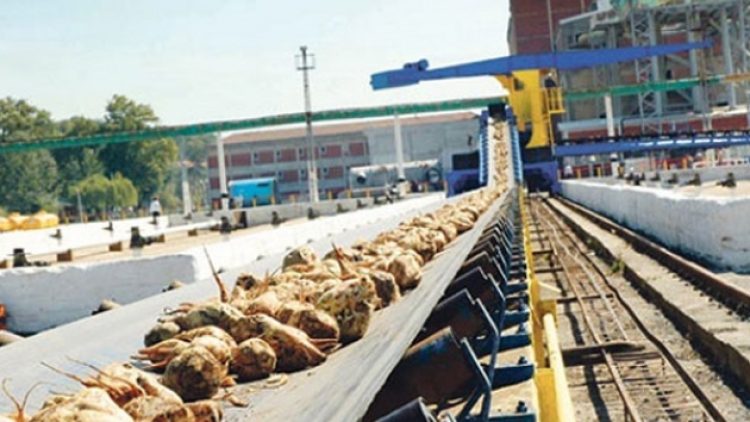 4 şeker fabrikasının satışına daha onay verildi