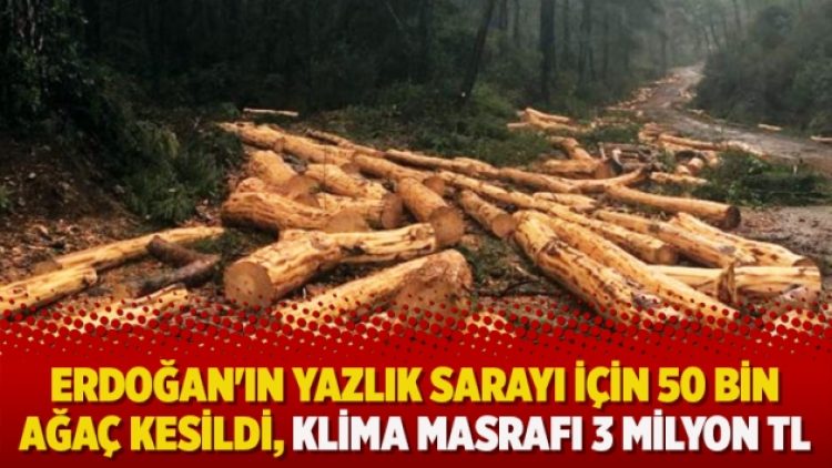 Erdoğan’ın yazlık sarayı için 50 bin ağaç kesildi, klima masrafı 3 milyon TL