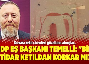 HDP Eş başkanı Temelli: “Bir iktidar ketıldan korkar mı?”