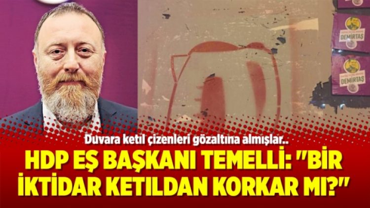 HDP Eş başkanı Temelli: “Bir iktidar ketıldan korkar mı?”
