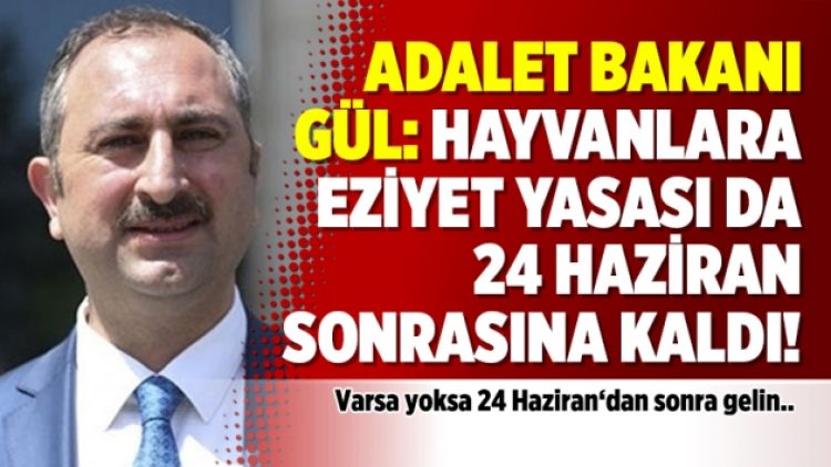Adalet Bakanı Gül: Hayvanlara eziyet yasası da 24 Haziran sonrasına kaldı!