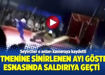 Eğitmenine sinirlenen ayı gösteri esnasında saldırıya geçti