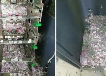 Para makinasına giren fareler paraları yedi