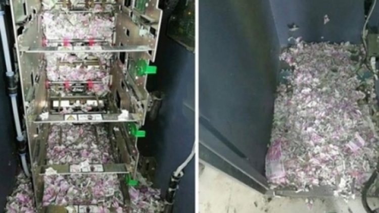 Para makinasına giren fareler paraları yedi