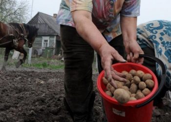 ‘Patates-soğana da dış güçler desenize’