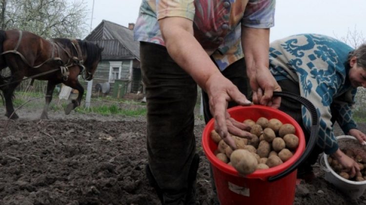 ‘Patates-soğana da dış güçler desenize’