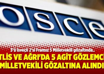 Bitlis ve Ağrı’da 5 AGİT gözlemcisi milletvekili gözaltına alındı