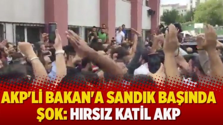 AKP’li Bakan’a sandık başında şok: Hırsız katil AKP