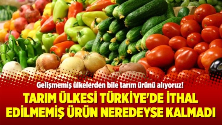 Tarım ülkesi Türkiye’de ithal edilmemiş ürün neredeyse kalmadı
