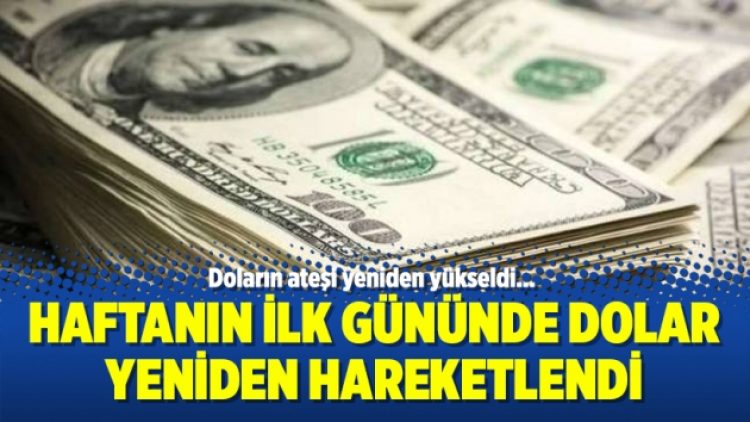 Haftanın ilk gününde dolar yeniden hareketlendi