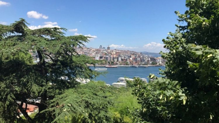 İstanbul’un tek botanik bahçesine tahliye kararı