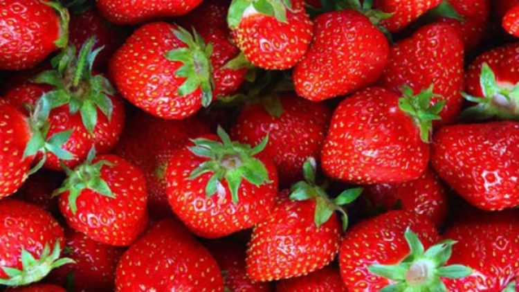 Rusya, Türkiye’den gelen 15 ton çileği almadı