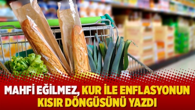Mahfi Eğilmez, kur ile enflasyonun kısır döngüsünü yazdı