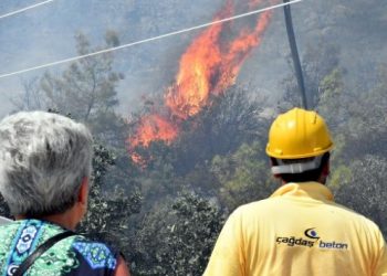Bodrum’da korkutan yangın