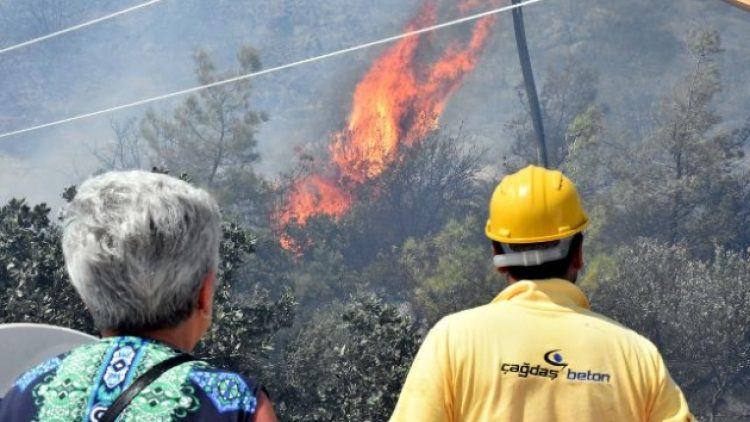 Bodrum’da korkutan yangın