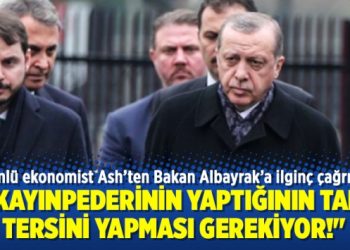 Ünlü ekonomist Ash’ten Bakan Albayrak’a ilginç çağrı!
