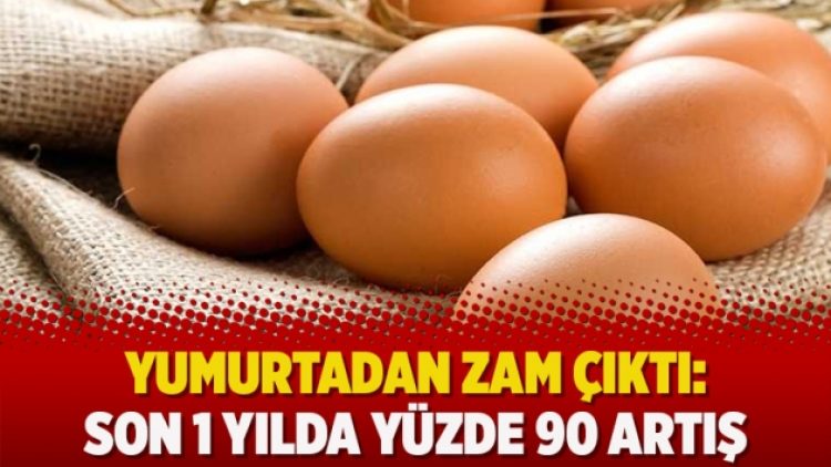 Yumurtadan zam çıktı: Son 1 yılda yüzde 90 artış