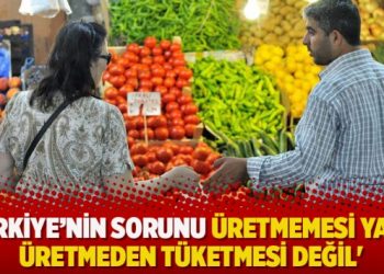 ‘Türkiye’nin sorunu üretmemesi ya da üretmeden tüketmesi değil’