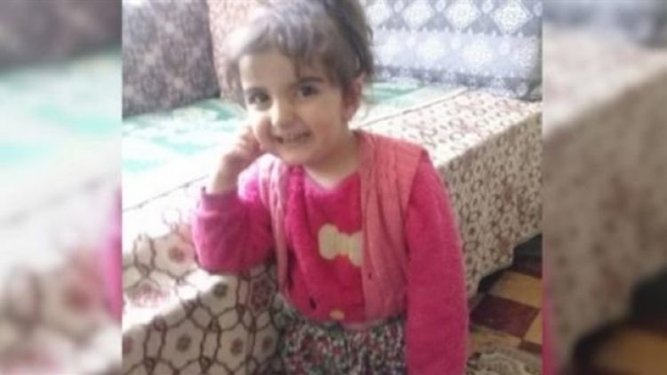 12 gündür kayıp: Evrim’in babası, annesi ve amcası gözaltında