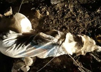 Köpeği telle bağlayıp çöpe attılar