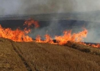 AYM’den anız yangınıyla ilgili ‘masumiyet karinesi’ kararı