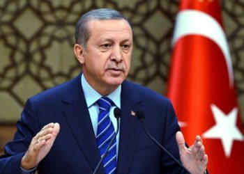 Türkiye’de neyin satılacağına artık Cumhurbaşkanı karar verecek