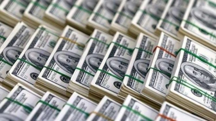 Milyonerler ilk yarıda 74,5 milyar liralık döviz aldı