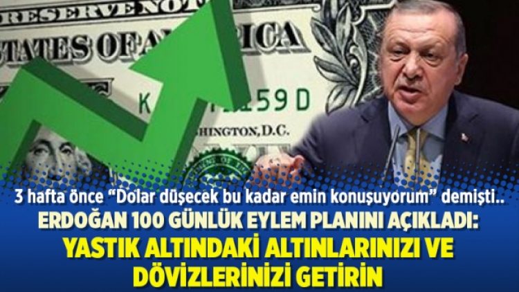 Erdoğan 100 günlük eylem planını açıkladı: Yastık altındaki altınlarınızı ve dövizlerinizi getirin