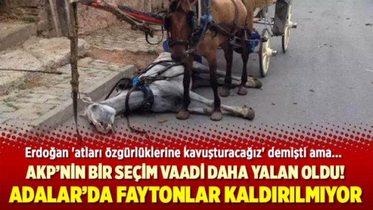 Erdoğan ‘atları özgürlüklerine kavuşturacağız’ demişti ama faytonlar kaldırılmıyor