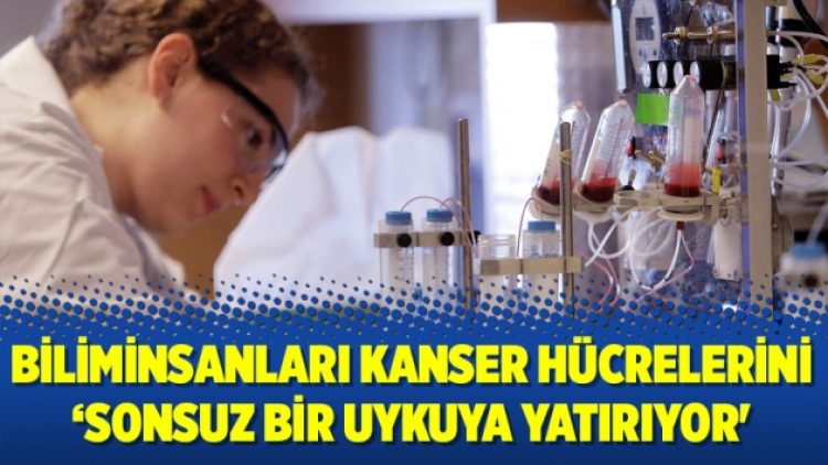 Biliminsanları kanser hücrelerini ‘sonsuz bir uykuya yatırıyor’