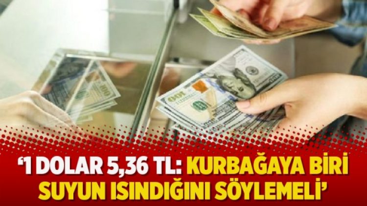 ‘1 Dolar 5,36 TL: Kurbağaya biri suyun ısındığını söylemeli’