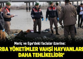 Meriç ve Ege’deki facialar üzerine: Zorba yönetimler vahşi hayvanlardan daha tehlikelidir