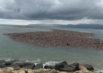 Ordu’da fındık hasadı denize sürüklendi