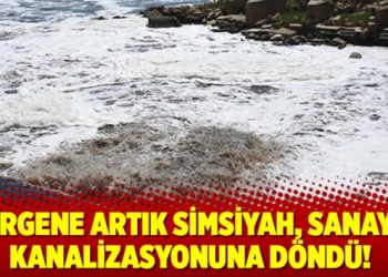 Ergene artık simsiyah, sanayi kanalizasyonuna döndü!