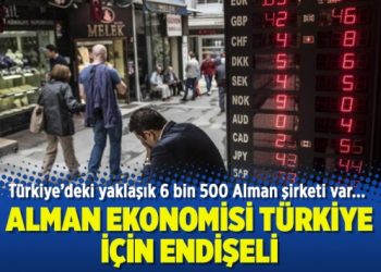 Alman ekonomisi Türkiye için endişeli