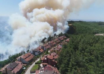 Mudanya’da orman yangın