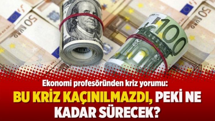 Ekonomi profesöründen kriz yorumu: Bu kriz kaçınılmazdı, peki ne kadar sürecek?