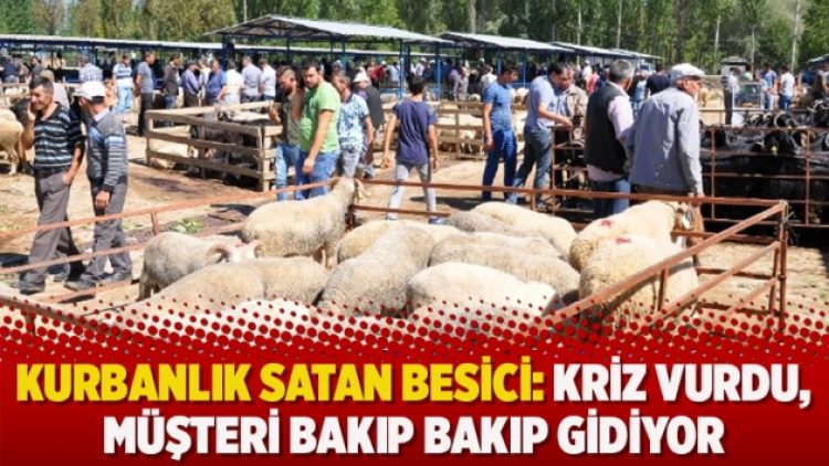 Kurbanlık satan besici: Kriz vurdu, müşteri bakıp bakıp gidiyor