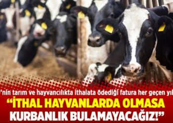 İthal hayvanlarda olmasa  kurbanlık bulamayacağız!