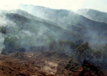 Dersim ormanları yanmaya devam ediyor: müdahale edilmiyor!