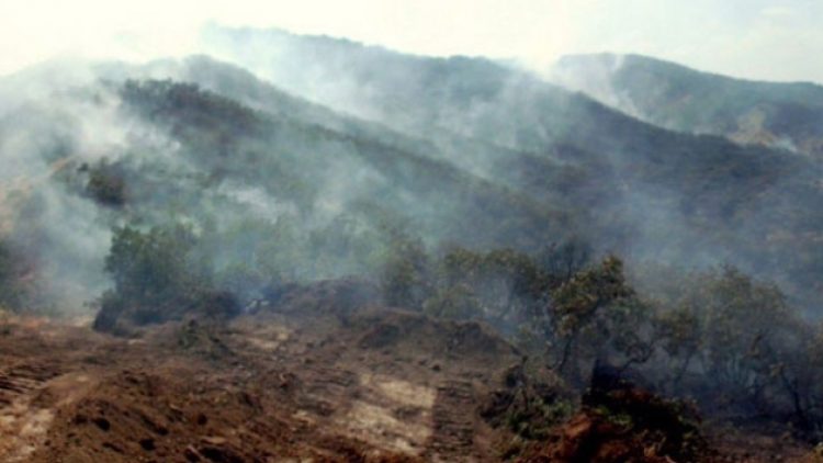 Dersim ormanları yanmaya devam ediyor: müdahale edilmiyor!