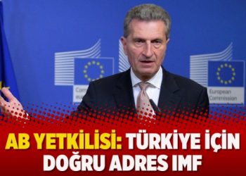AB yetkilisi: Türkiye için doğru adres IMF