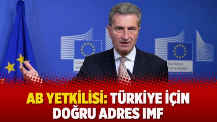 AB yetkilisi: Türkiye için doğru adres IMF