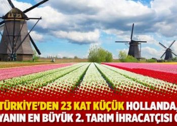 Türkiye’den 23 kat küçük Hollanda, dünyanın en büyük 2. tarım ihracatçısı oldu
