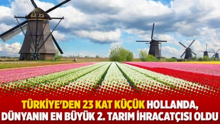 Türkiye’den 23 kat küçük Hollanda, dünyanın en büyük 2. tarım ihracatçısı oldu