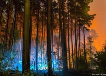 Berlin yakınlarında büyük orman yangını